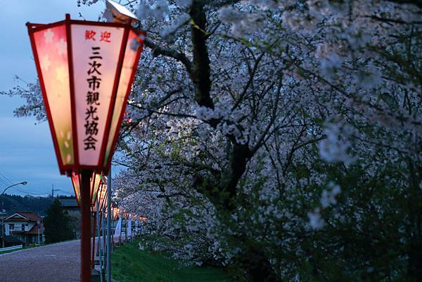 IMG_7924.JPG IMG_7924.JPG