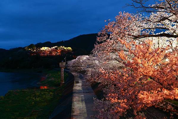 IMG_7962.JPG IMG_7962.JPG