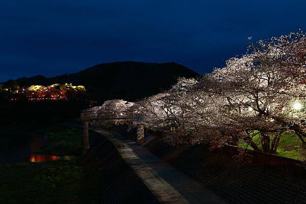 IMG_7965.JPG IMG_7965.JPG