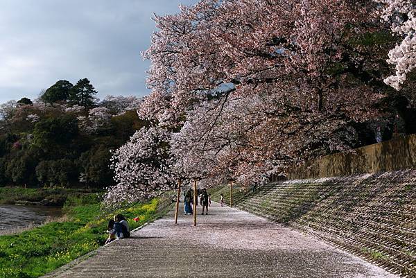 IMG_7704.JPG IMG_7704.JPG