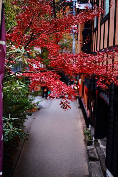 IMG_0435.JPG IMG_0435.JPG