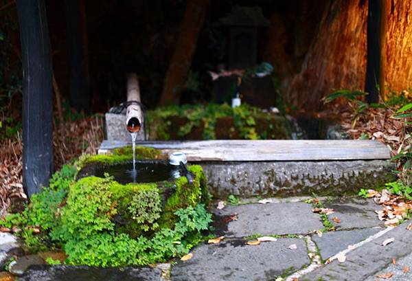 IMG_0422.JPG IMG_0422.JPG