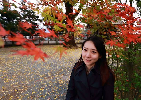 IMG_0379.JPG IMG_0379.JPG