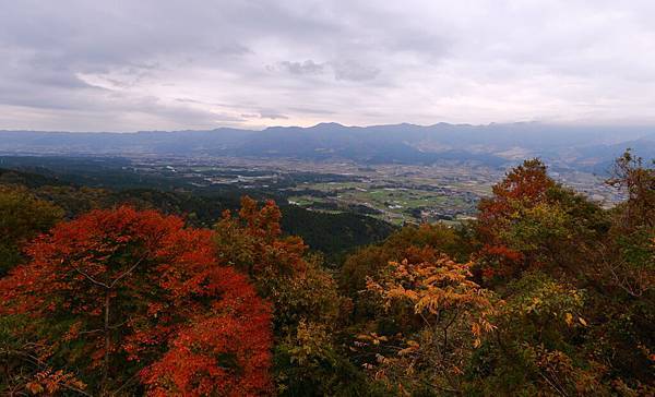 IMG_0341.JPG IMG_0341.JPG