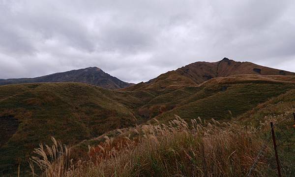 IMG_0310.JPG IMG_0310.JPG