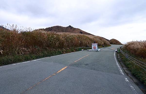 IMG_0305.JPG IMG_0305.JPG