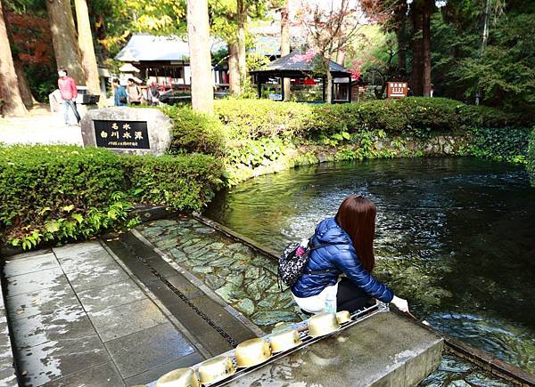 IMG_0290.JPG IMG_0290.JPG