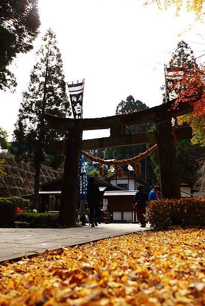 IMG_0274.JPG IMG_0274.JPG