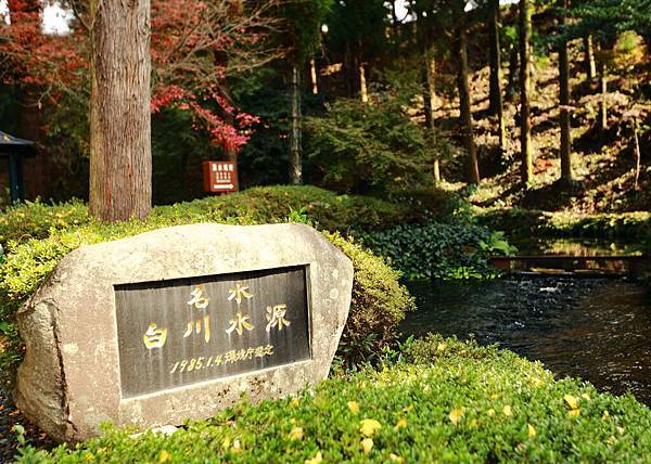 IMG_0241.JPG IMG_0241.JPG