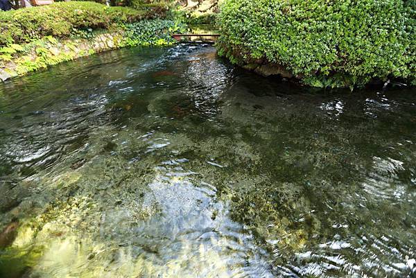 IMG_0236.JPG IMG_0236.JPG