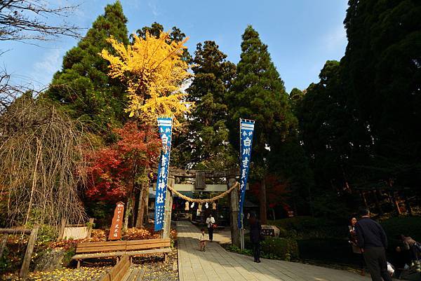 IMG_0225.JPG IMG_0225.JPG