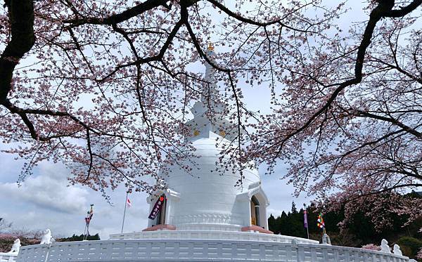 IMG_2777.JPG IMG_2777.JPG