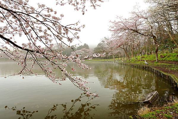 IMG_2648.JPG IMG_2648.JPG