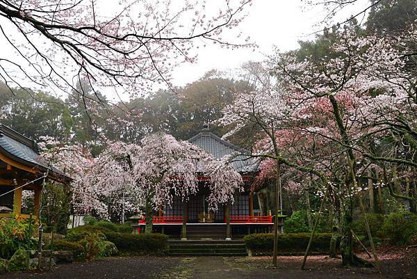 IMG_2692.JPG IMG_2692.JPG