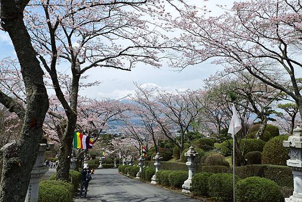 IMG_2792.JPG IMG_2792.JPG