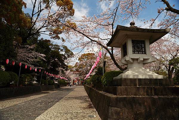 IMG_3062.JPG IMG_3062.JPG