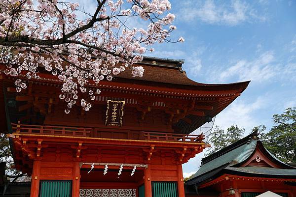 IMG_3080.JPG IMG_3080.JPG