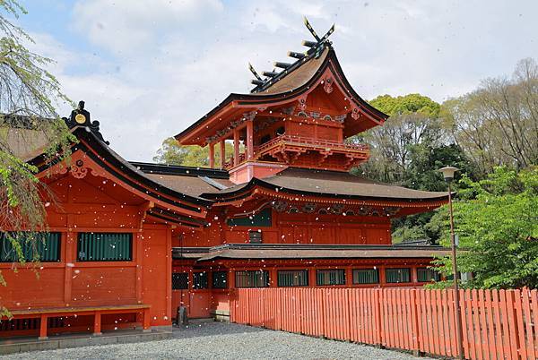 IMG_3104.JPG IMG_3104.JPG