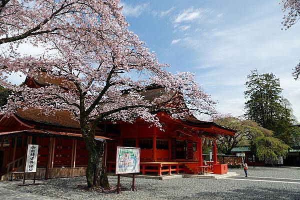 IMG_3087.JPG IMG_3087.JPG