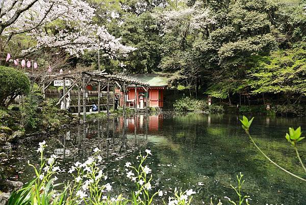 IMG_3122.JPG IMG_3122.JPG