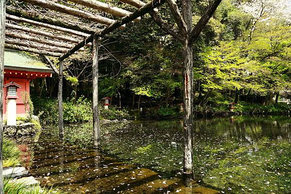 IMG_3110.JPG IMG_3110.JPG