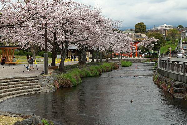 IMG_3162.JPG IMG_3162.JPG