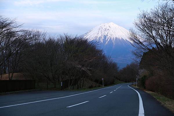 IMG_3014.JPG IMG_3014.JPG