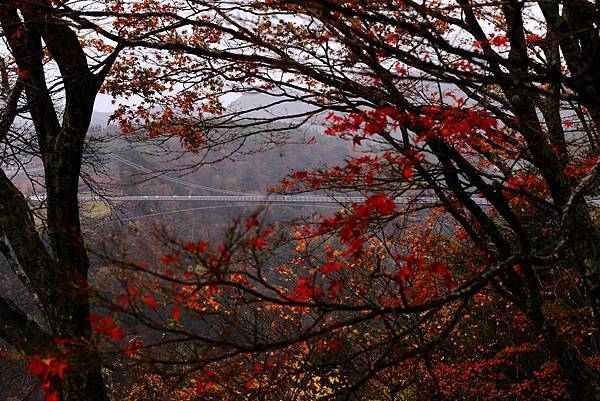 IMG_0726.JPG IMG_0726.JPG