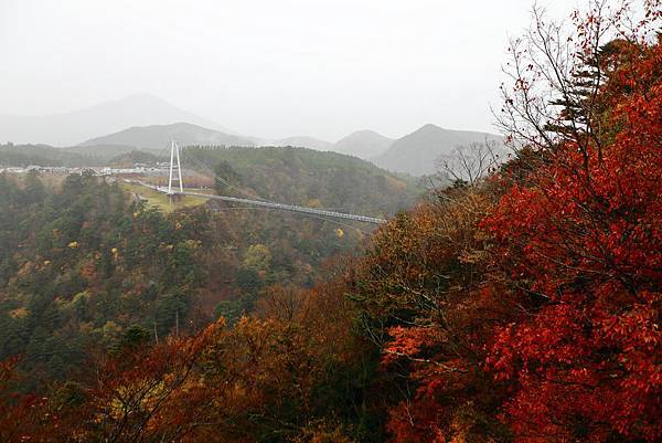 IMG_0693.JPG IMG_0693.JPG