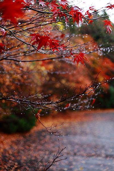 IMG_0603.JPG IMG_0603.JPG