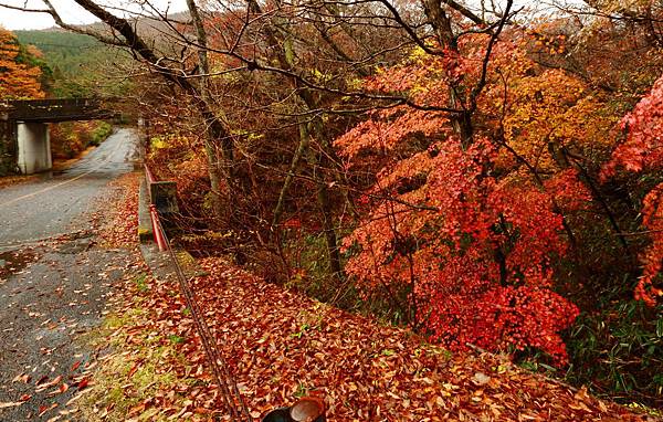 IMG_0621.JPG IMG_0621.JPG