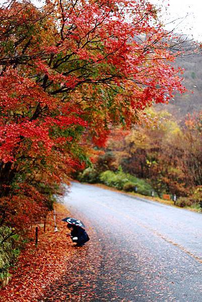 IMG_0586.JPG IMG_0586.JPG