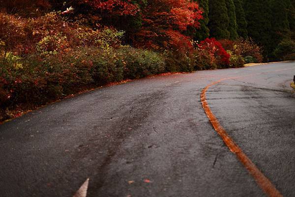 IMG_0571.JPG IMG_0571.JPG