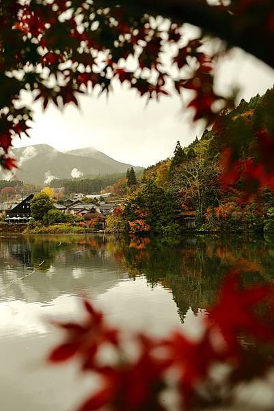 IMG_0896.JPG IMG_0896.JPG