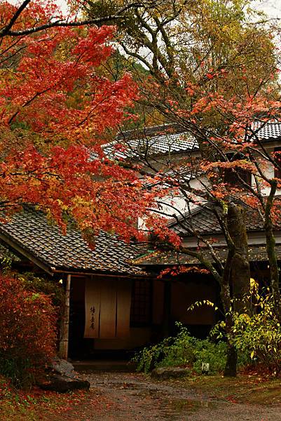 IMG_0885.JPG IMG_0885.JPG