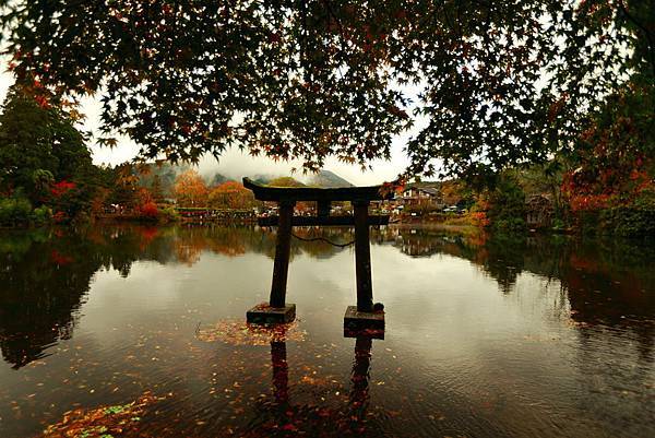 IMG_0925.JPG IMG_0925.JPG