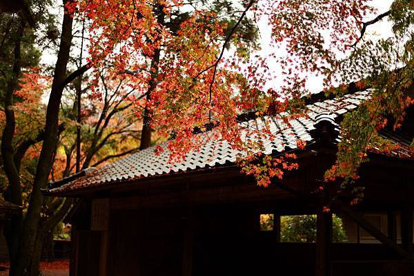 IMG_0935.JPG IMG_0935.JPG