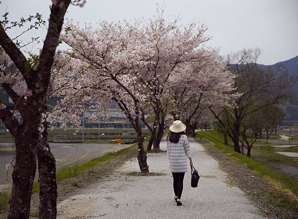 IMG_3695 (2).jpg IMG_3695 (2).jpg