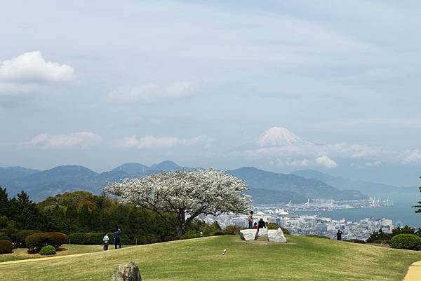 IMG_3495.JPG IMG_3495.JPG