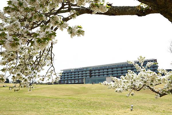 IMG_3489.JPG IMG_3489.JPG