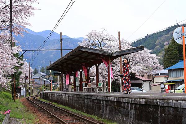 IMG_3625.JPG IMG_3625.JPG