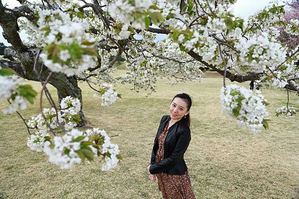 IMG_3294.JPG IMG_3294.JPG