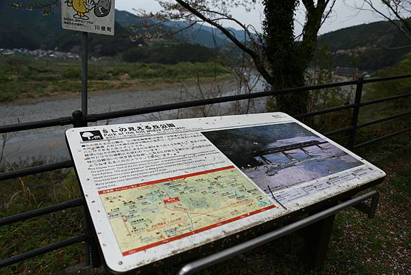 IMG_3680.JPG IMG_3680.JPG