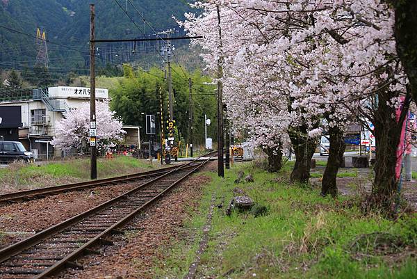 IMG_3630.JPG IMG_3630.JPG