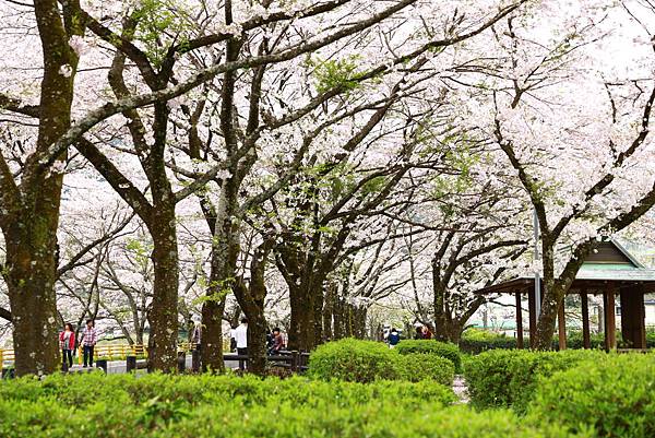 IMG_3736.JPG IMG_3736.JPG