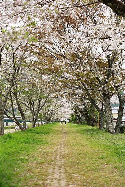 IMG_3754.JPG IMG_3754.JPG