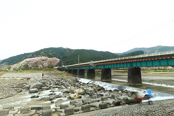 IMG_3782.JPG IMG_3782.JPG