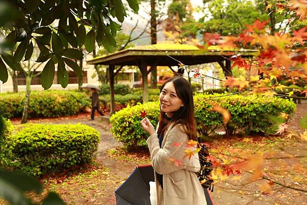 image.jpeg image.jpeg