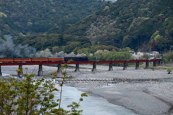 image.jpeg image.jpeg