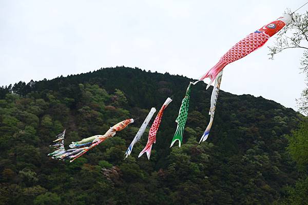 image.jpeg image.jpeg